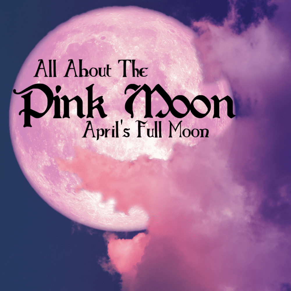 All About the Pink Moon – The Full Moon in April