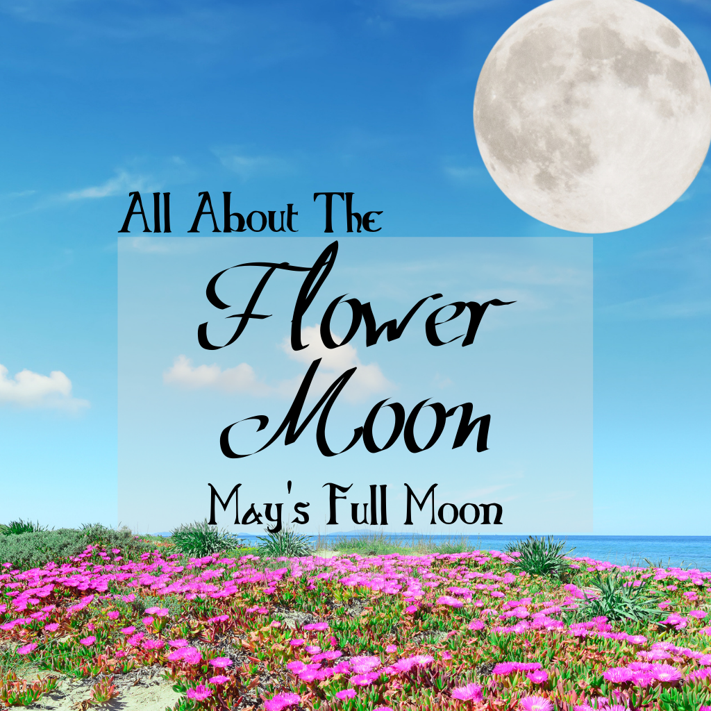All About the Flower Moon, May's Full Moon