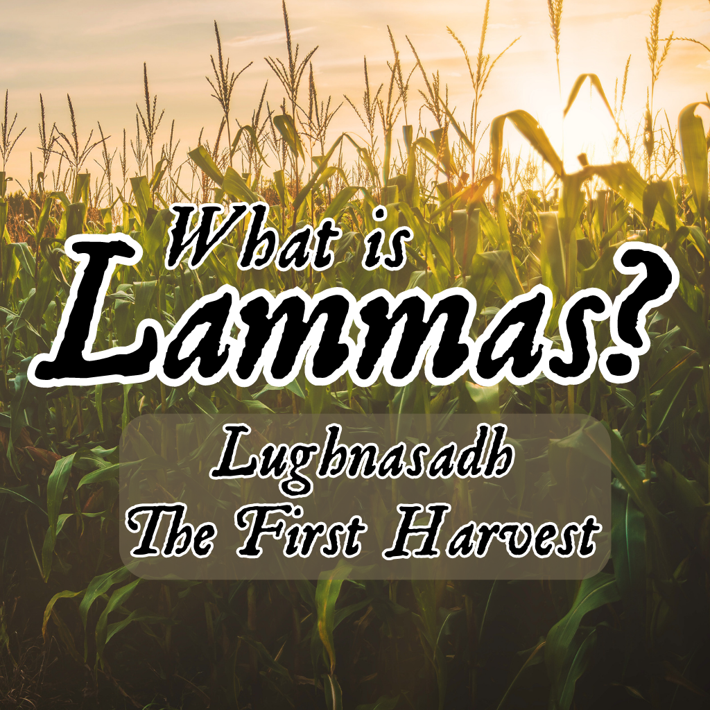 What is Lammas? Lughasadh, the First Harvest