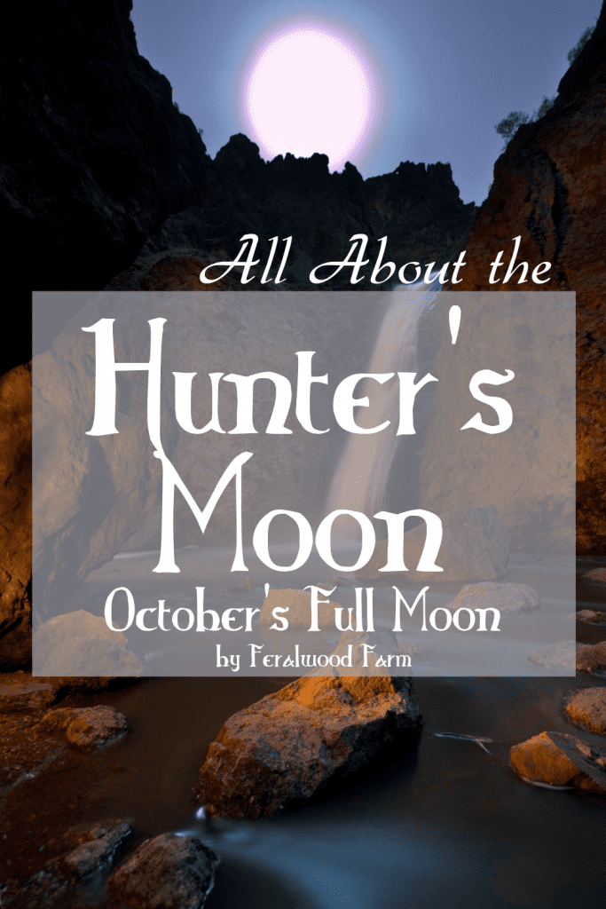 n about the Hunter's Moon, October’s Full Moon. Learn about the history, alternative names, correspondences, and how to utilize its energy in your magickal workings.