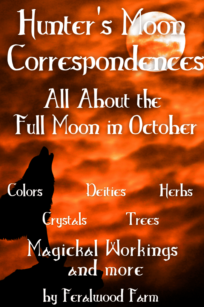 n about the Hunter's Moon, October’s Full Moon. Learn about the history, alternative names, correspondences, and how to utilize its energy in your magickal workings.