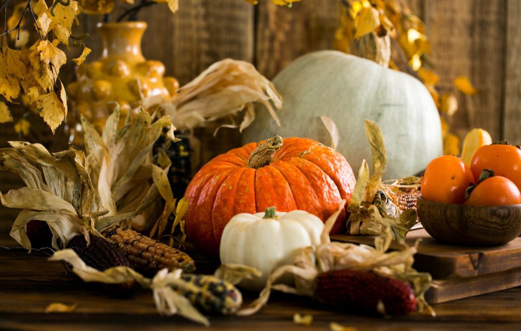 Learn about the last harvest festival on the Wheel of the Year: Samhain. All the history, correspondences, magickal workings, and more.
