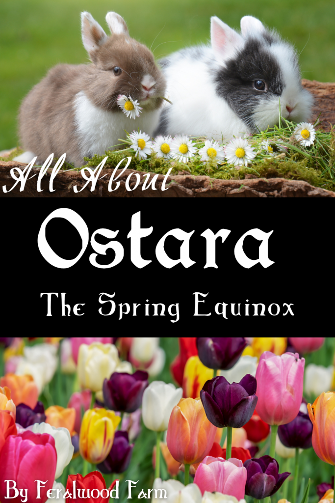 Learn about the Spring Equinox & third sabbat on the Wheel of the Year: Ostara. All the history, correspondences, magickal workings, and more.