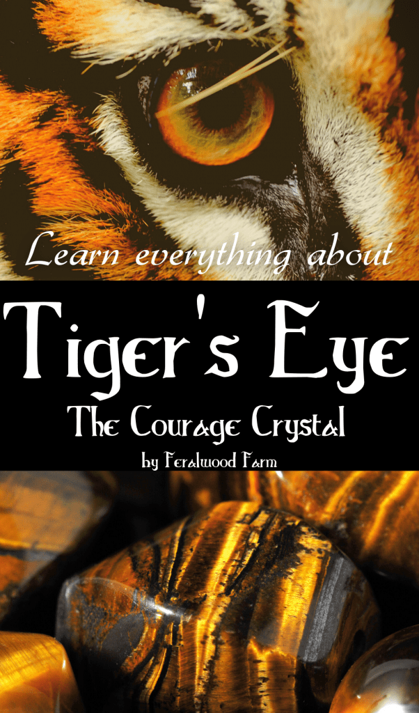 a pinnable graphic to learn more about Tiger's Eye crystals!
